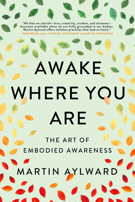 Awake Where You Are (The Art of Embodied Awareness) by Martin Aylward, 9781614297222