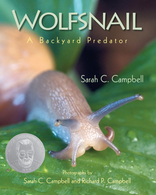 Wolfsnail (A Backyard Predator) - 9781635928365 by Sarah C. Campbell, Sarah C. Campbell, Richard P. Campbell, 9781635928365