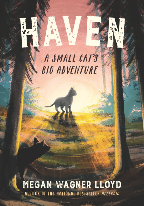 Haven (A Small Cat's Big Adventure) by Megan Wagner Lloyd, 9781536216578