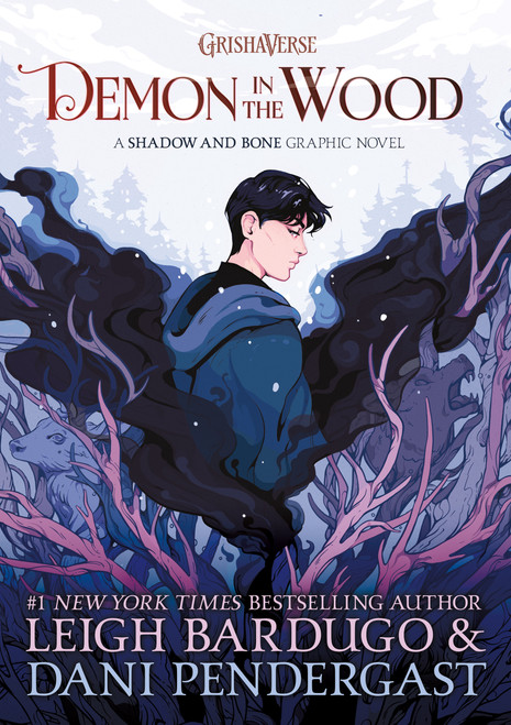 Demon in the Wood Graphic Novel by Leigh Bardugo, Dani Pendergast, 9781250624642
