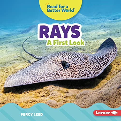 Rays (A First Look) by Percy Leed, 9781728459134