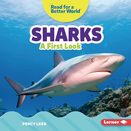 Sharks (A First Look) by Percy Leed, 9781728459141
