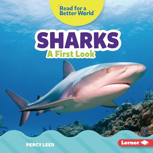 Sharks (A First Look) by Percy Leed, 9781728459141