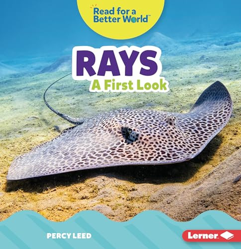 Rays (A First Look) - 9781728464176 by Percy Leed, 9781728464176