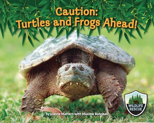 Caution: Turtles and Frogs Ahead! by Joanne Mattern, 9781643711898