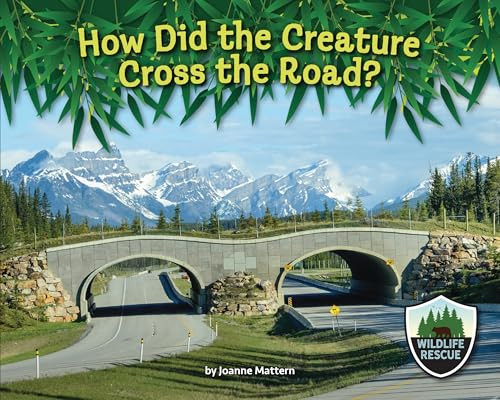 How Did the Creature Cross the Road? by Joanne Mattern, 9781643711911