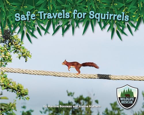 Safe Travels for Squirrels by Maxime Bonneau, 9781643711881