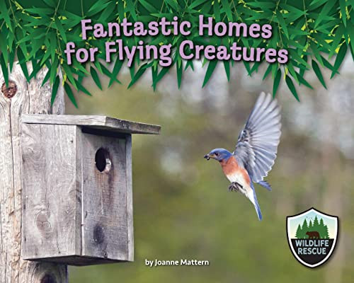 Fantastic Homes for Flying Creatures - 9781643711942 by Joanne Mattern, 9781643711942