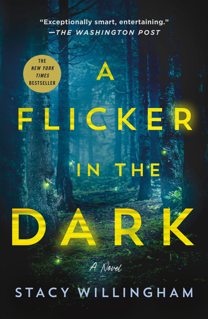A Flicker in the Dark (A Novel) - 9781250803849 by Stacy Willingham, 9781250803849