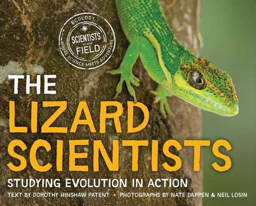 The Lizard Scientists (Studying Evolution in Action) by Dorothy Hinshaw Patent, Nate Dappen, Neil Losin, 9780358381402