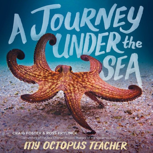 A Journey Under the Sea by Craig Foster, Ross Frylinck, 9780358677864