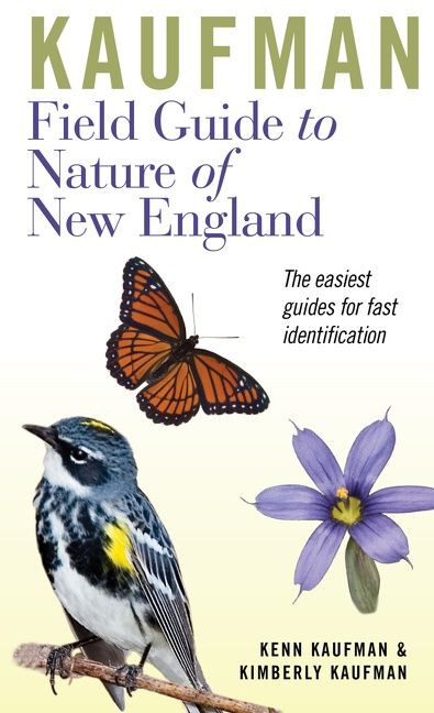 Kaufman Field Guide To Nature Of New England by Kenn Kaufman, Kimberly Kaufman, 9780618456970