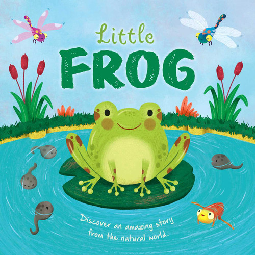 Nature Stories: Little Frog-Discover an Amazing Story from the Natural World (Padded Board Book) by IglooBooks, Gisela Bohórquez, 9781801087230