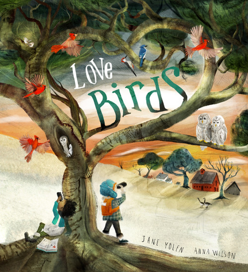 Love Birds (A Picture Book) by Jane Yolen, Anna Wilson, 9781951836405