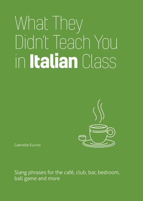 What They Didn't Teach You in Italian Class (Slang Phrases for the Cafe, Club, Bar, Bedroom, Ball Game and More) - 9781646043965 by Gabrielle Euvino, 9781646043965