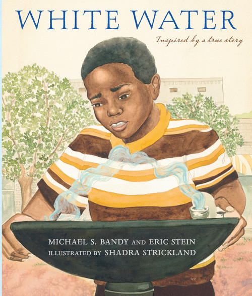 White Water by Michael S. Bandy, Eric Stein, Shadra Strickland, 9780763636784