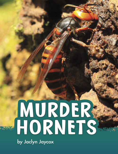 Murder Hornets by Jaclyn Jaycox, 9781666342819