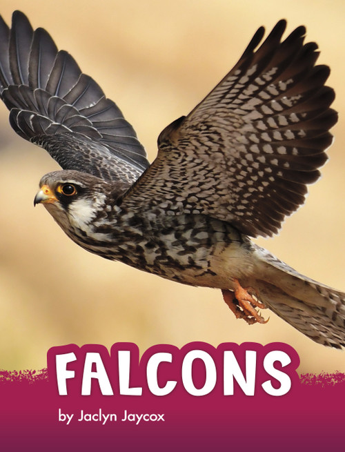 Falcons - 9781666342796 by Jaclyn Jaycox, 9781666342796