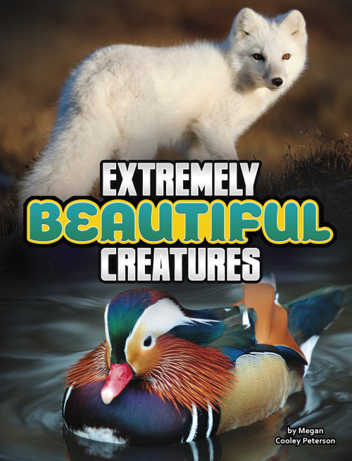 Extremely Beautiful Creatures by Megan Cooley Peterson, 9781666355246