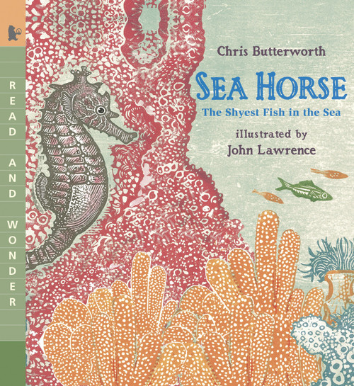 Sea Horse: The Shyest Fish in the Sea (Read and Wonder (An Ocean Animal and Marine Life Book for Grades K-3 and Kids Ages 5-8)) by Chris Butterworth, John Lawrence, 9780763641405