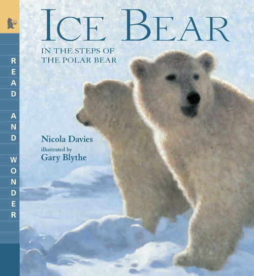 Ice Bear: In the Steps of the Polar Bear (Read and Wonder) by Nicola Davies, Gary Blythe, 9780763641498