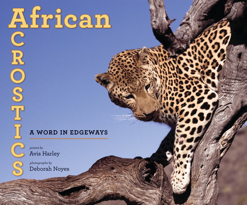 African Acrostics (A Word in Edgeways) by Avis Harley, Deborah Noyes, 9780763658182