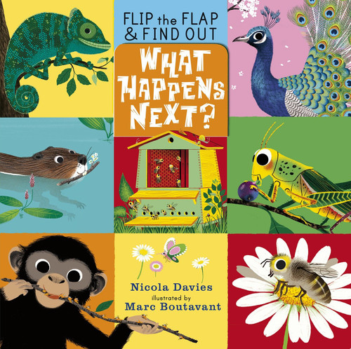 What Happens Next? by Nicola Davies, Marc Boutavant, 9780763662646