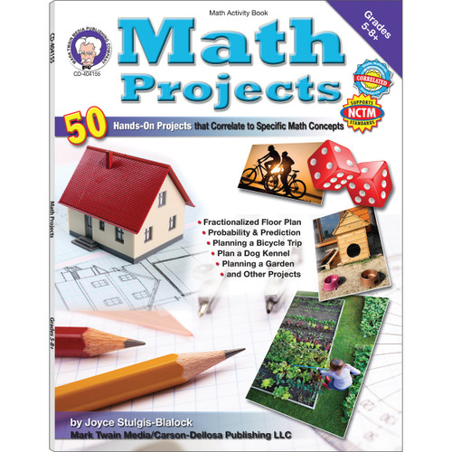 Math Projects, Grades 5 - 12 by Joyce Stulgis-Blalock, 9781580375757