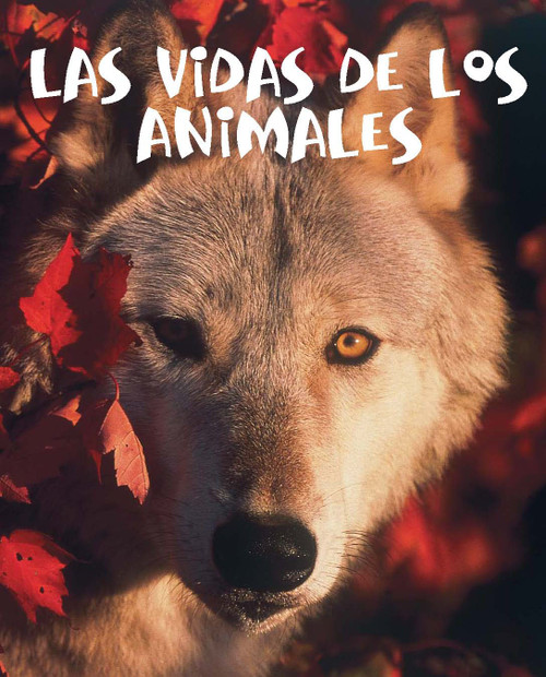 Las vidas de los animales (Animal Lives) (Spanish Edition) by Marcia Freeman, 9781600444531