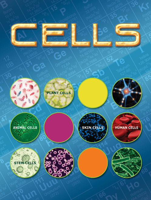 Cells - 9781606945308 by Susan Meredith, 9781606945308