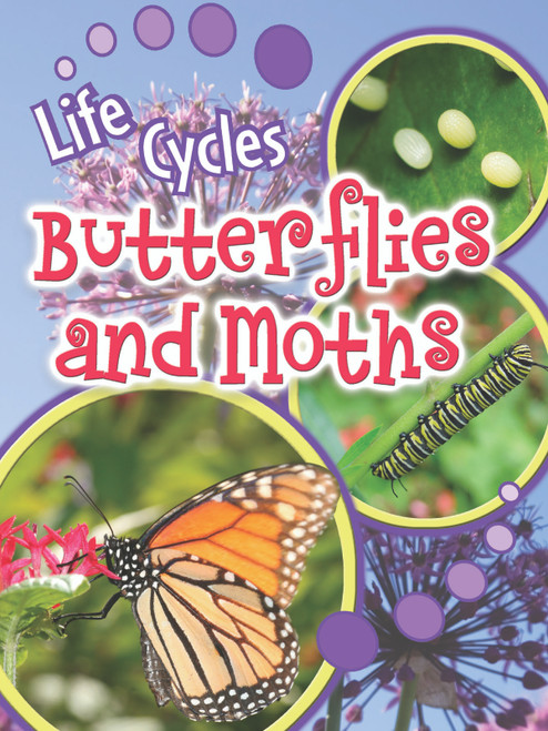 Butterflies and Moths - 9781615905478 by Julie Lundgren, 9781615905478