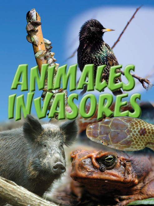 Animales invasores (Animal Invaders) (Spanish Edition) by Amanda Doering Tourville, 9781627172813