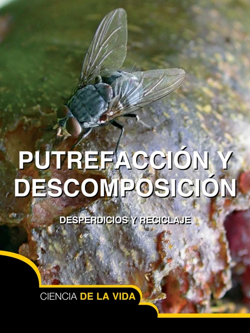 Putrefacción y descomposición (Rot and Decay) (Spanish Edition) by Sarah Levete, 9781627173322