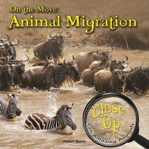 On the Move (Animal Migration) by Robert Norris, 9781627177559