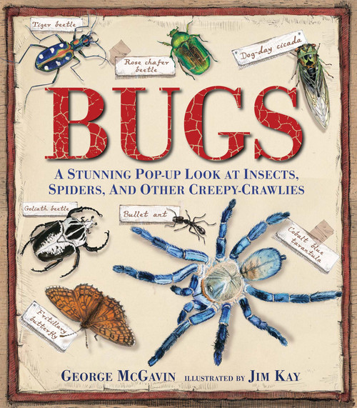 Bugs (A Stunning Pop-up Look at Insects, Spiders, and Other Creepy-Crawlies) by George McGavin, Jim Kay, 9780763667627