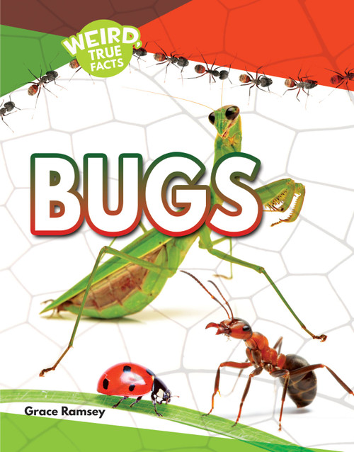 Bugs - 9781641566162 by Grace Ramsey, 9781641566162