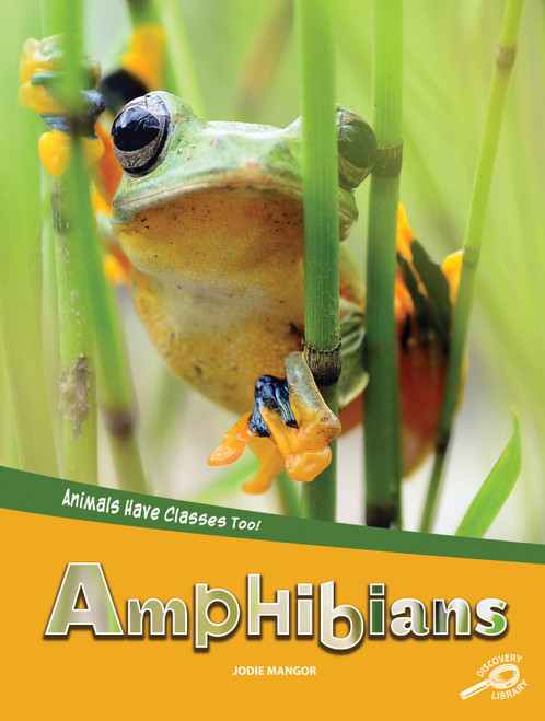 Animals Have Classes Too! Amphibians by Jodie Mangor, 9781643690308