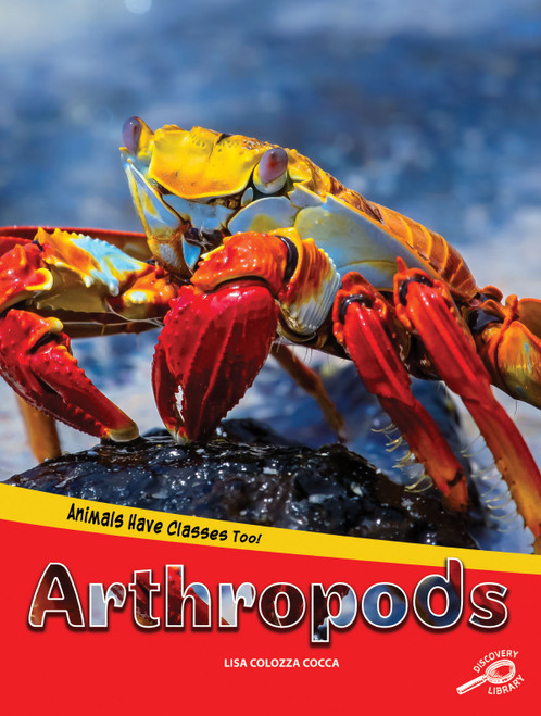Animals Have Classes Too! Arthropods by Lisa Colozza Cocca, 9781643690636
