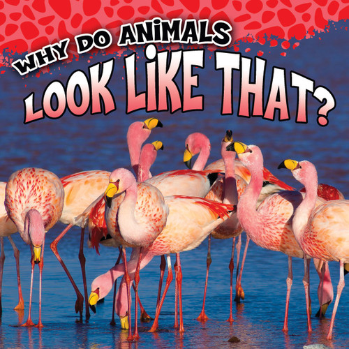 Why Do Animals Look Like That? by Sam George, 9781681918266