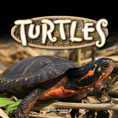 Turtles - 9781683421573 by Darla Duhaime, 9781683421573