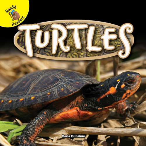 Turtles - 9781683421993 by Darla Duhaime, 9781683421993
