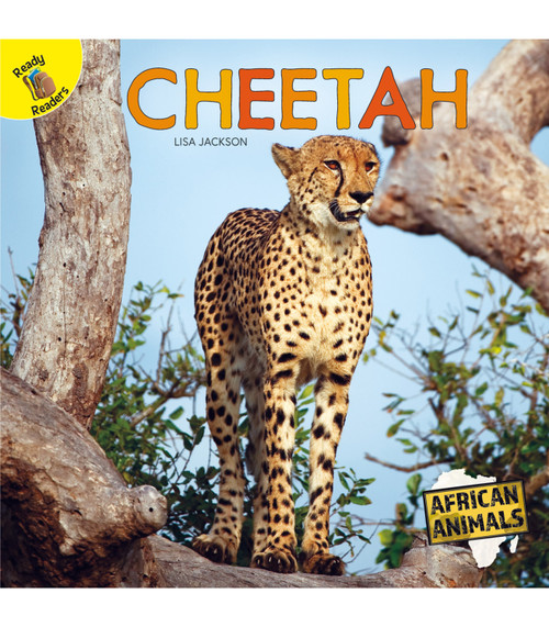 Cheetah - 9781731604491 by Lisa  Jackson, 9781731604491