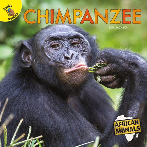 Chimpanzee - 9781731605603 by Lisa  Jackson, 9781731605603
