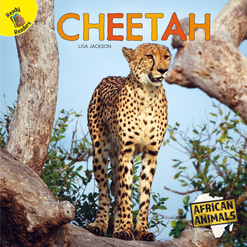Cheetah - 9781731605634 by Lisa  Jackson, 9781731605634