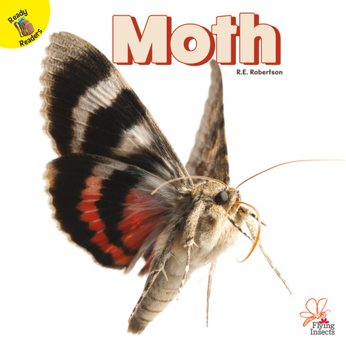 Moth - 9781731605856 by J.  Jean Robertson, 9781731605856