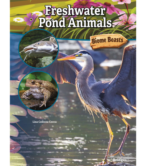 Freshwater Pond Animals by Lisa Colozza Cocca, 9781731612380