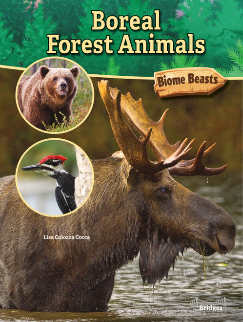Boreal Forest Animals - 9781731614391 by Lisa Colozza Cocca, 9781731614391