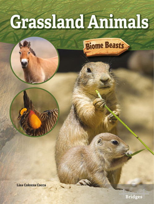 Grassland Animals - 9781731614445 by Lisa Colozza Cocca, 9781731614445