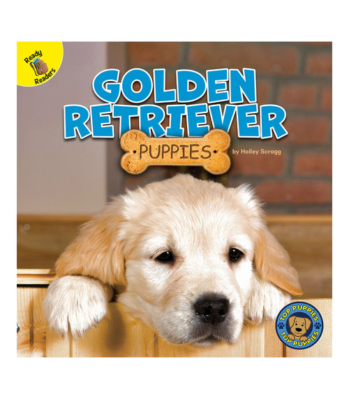 Golden Retriever Puppies by Hailey Scragg, 9781731628541