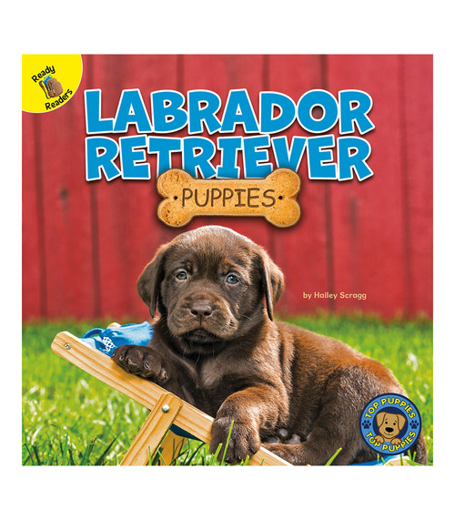 Labrador Retriever Puppies - 9781731628589 by Hailey Scragg, 9781731628589